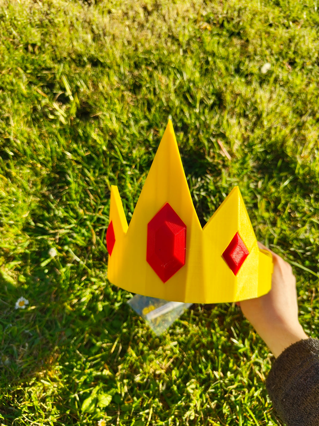 Ice kings crown, adventure time