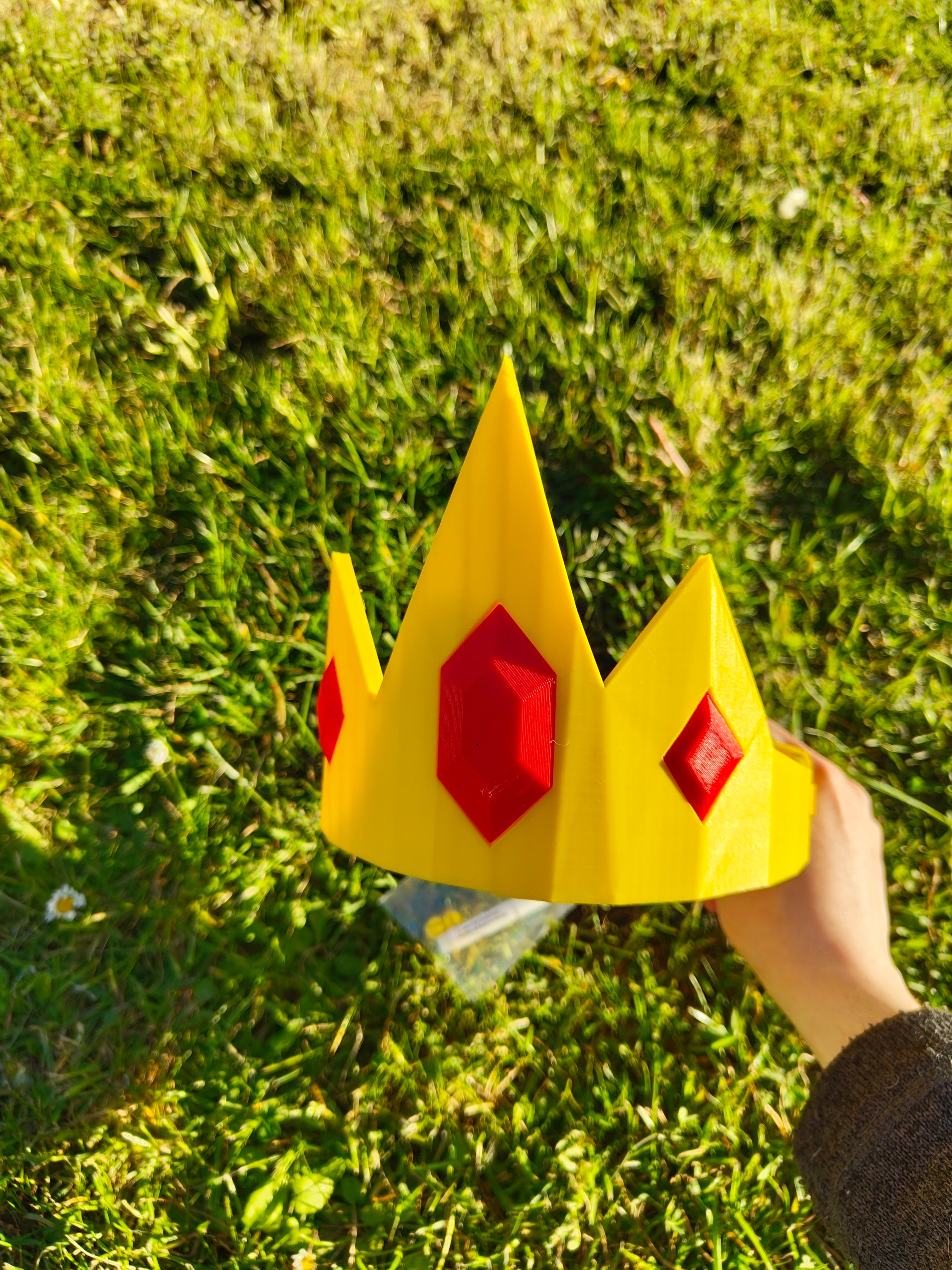 Ice kings crown, adventure time